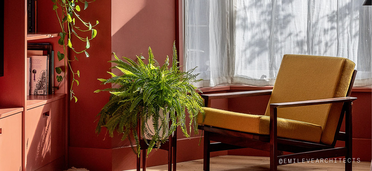 The Living Room Edit