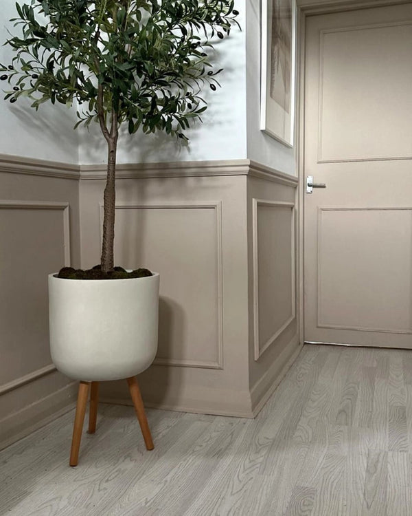 mydreamhome_usplus6